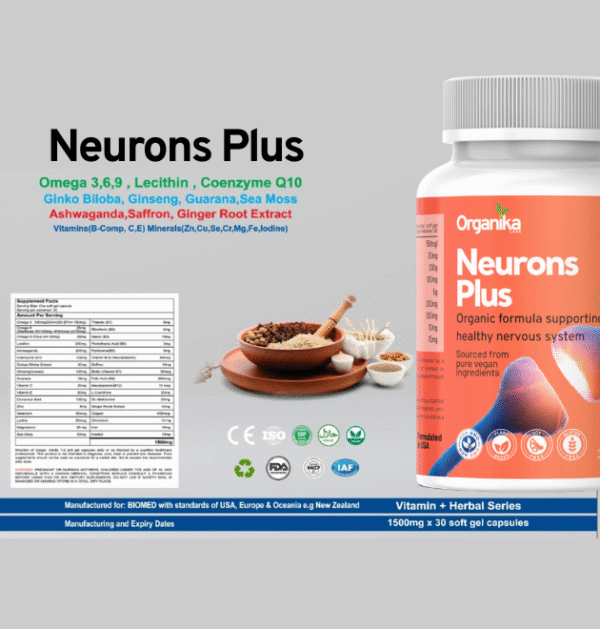 neurons_plus-3