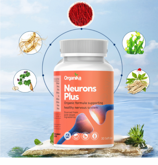 neurons_plus-4